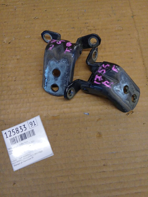 Петля двери Nissan X-Trail TNT31 QR25 2007 передняя правая (б/у)