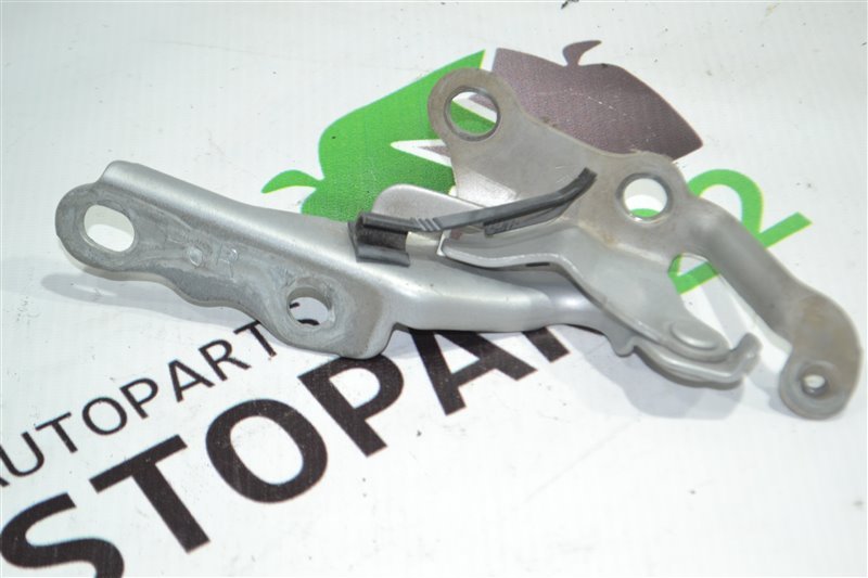 Петля капота Toyota Corolla NZE124 1NZ 2005 правая (б/у)