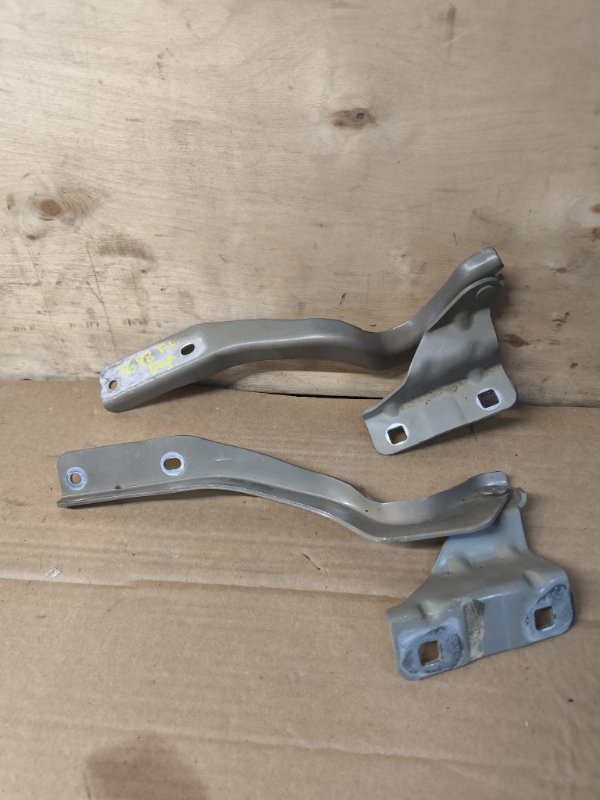 Петля капота Nissan Dualis NJ10 MR20DE 2007 (б/у)