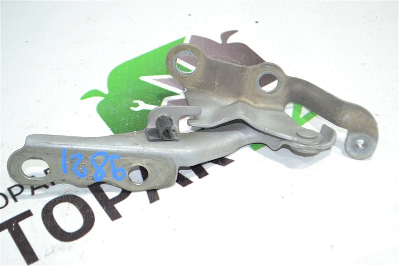 Петля капота Toyota Fielder NZE121 1NZ 2002 передняя правая (б/у)