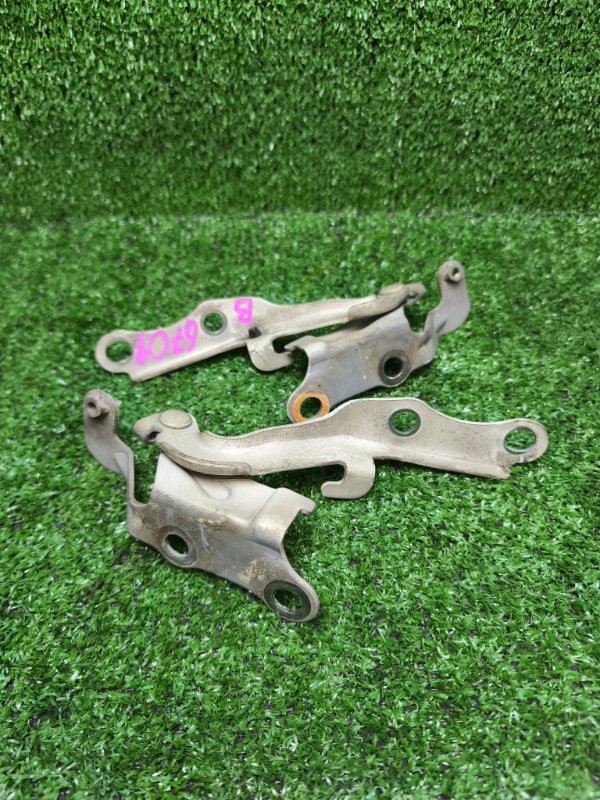 Петля капота Toyota Ipsum SXM10 3SFE 1999 (б/у) Петля капота Toyota Ipsum SXM10 3SFE 1999 (б/у)