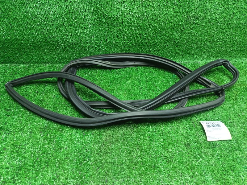 Уплотнительная резинка двери Toyota Ipsum SXM10 3SFE 1999 задняя левая (б/у)