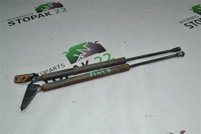 Амортизатор багажника Toyota Fielder NZE124 1NZ-FE 2005 (б/у)