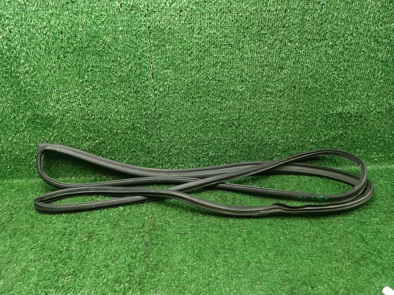 Уплотнительная резинка двери Toyota Corona Premio ST210 3S-FSE 2000 задняя правая (б/у)