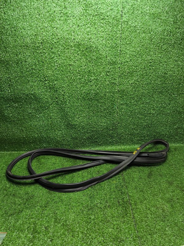 Уплотнительная резинка двери Nissan X-Trail TNT31 QR25 2007 передняя правая (б/у)