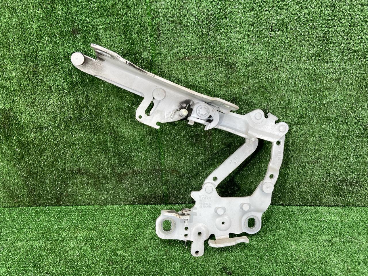 Петля капота 1 SERIES 2012 F20 N13B16