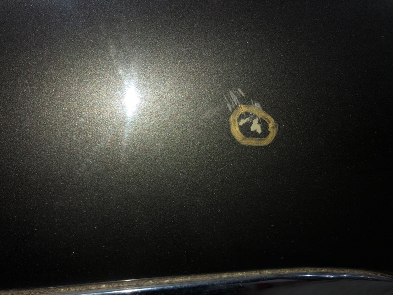 Дверь задняя COOPER S 2004 R53 Дверь задняя COOPER S 2004 R53