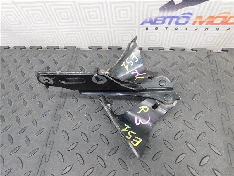 Петля капота HONDA CIVIC FERIO ES1 (б/у)