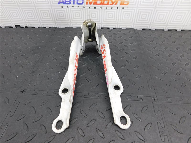 Петля капота TOYOTA FUNCARGO NCP20-0350489 2NZ-FE 2004 (б/у)