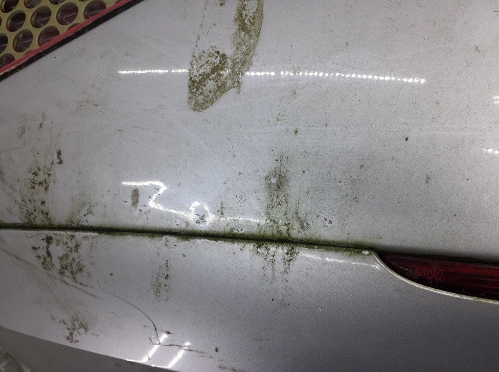 Крышка багажника для Peugeot 307, 2005 г. 2.0 i бензин б/у — фото 7