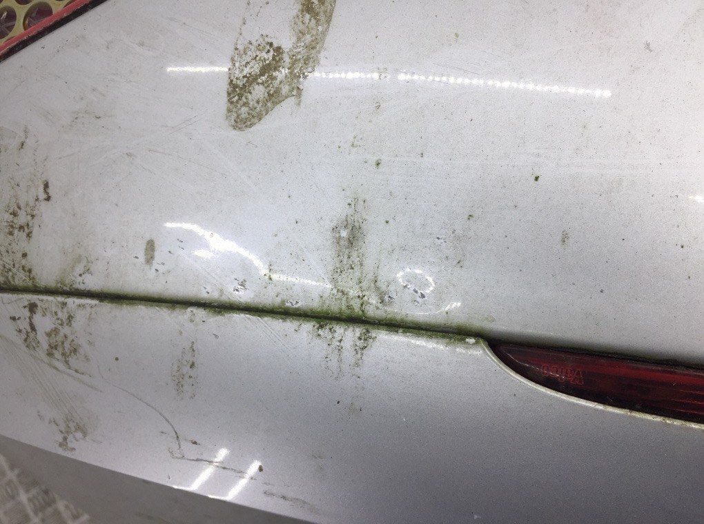 Крышка багажника для Peugeot 307, 2005 г. 2.0 i бензин б/у — фото 8