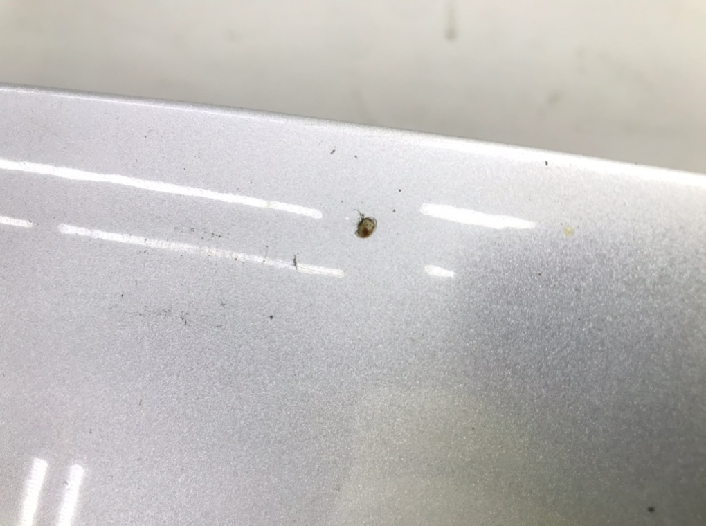 Капот для Audi A4, 2005 г. 2.4 i бензин б/у — фото 3
