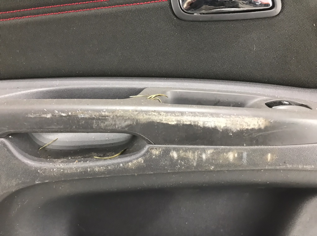 Дверь передняя левая для Kia Rio, 2006 г. 1.5 CRDi дизель б/у — фото 6