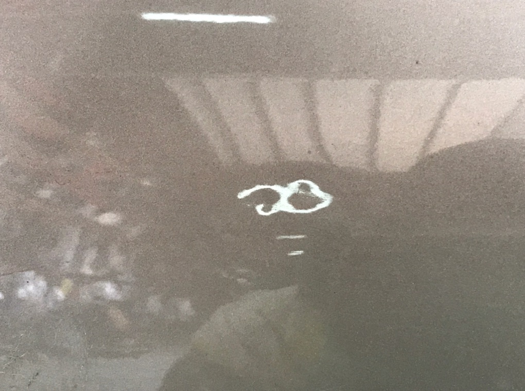 Дверь передняя левая для Nissan Qashqai, 2007 г. 1.6 i бензин б/у — фото 8