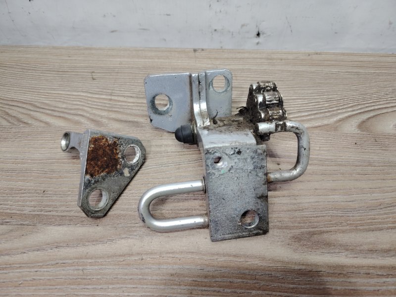 Петля двери передняя правая Passat B6 2008 3C5 CBA