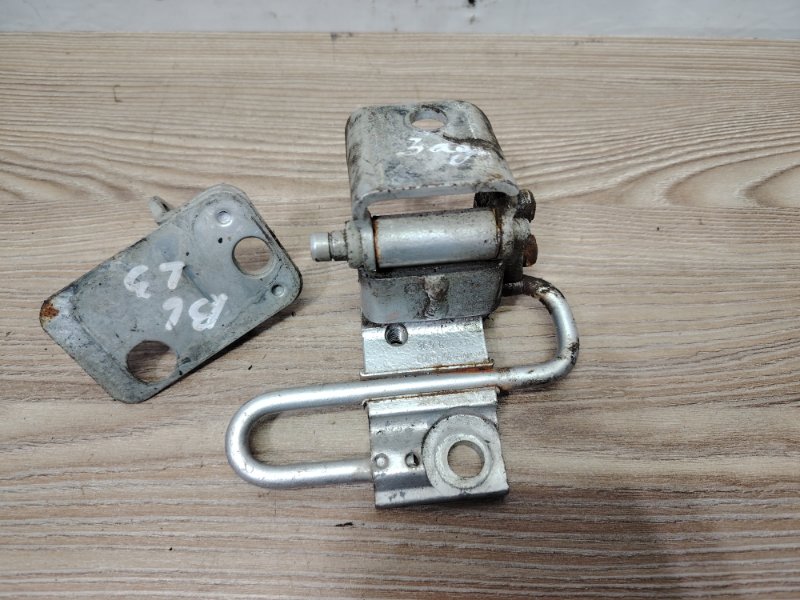 Петля двери задняя левая Passat B6 2008 3C5 CBA