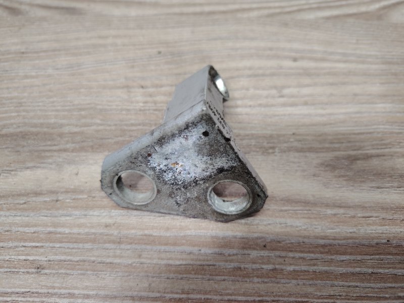 Петля двери задняя левая Passat B6 2008 3C5 CBA