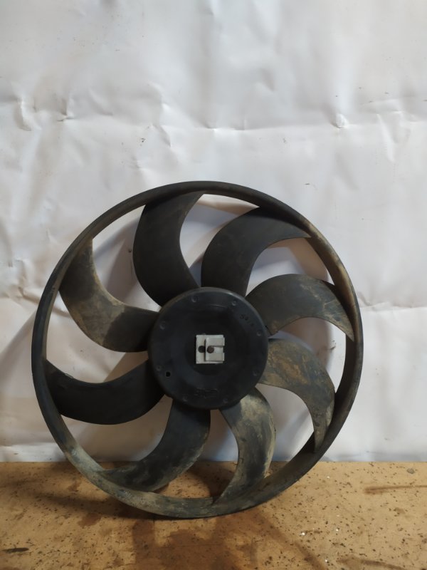 Моторчик вентилятора радиатора Renault Kangoo 1 1 2008 (б/у)