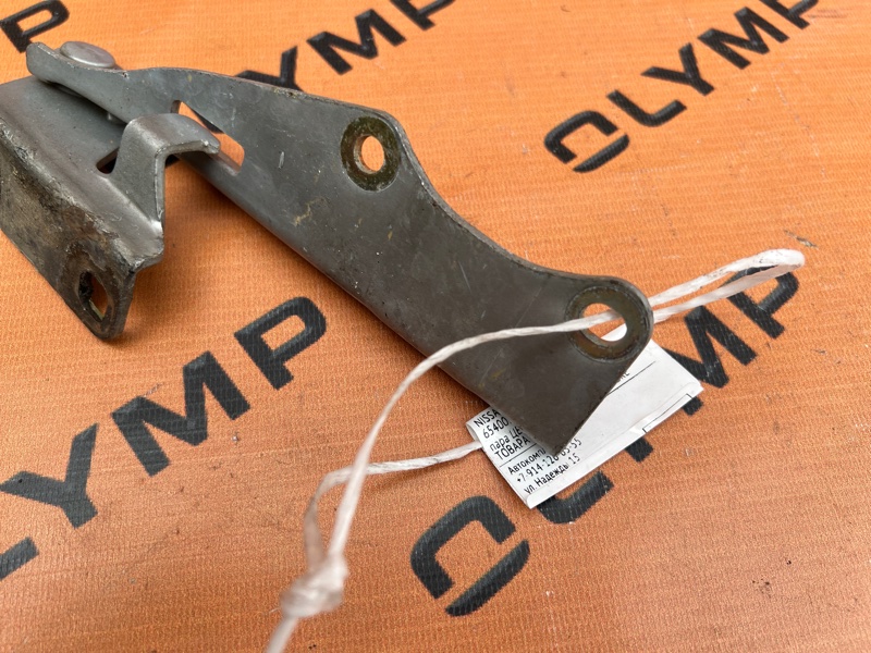 Петля капота левая EXPERT 2001 VW11 QG18