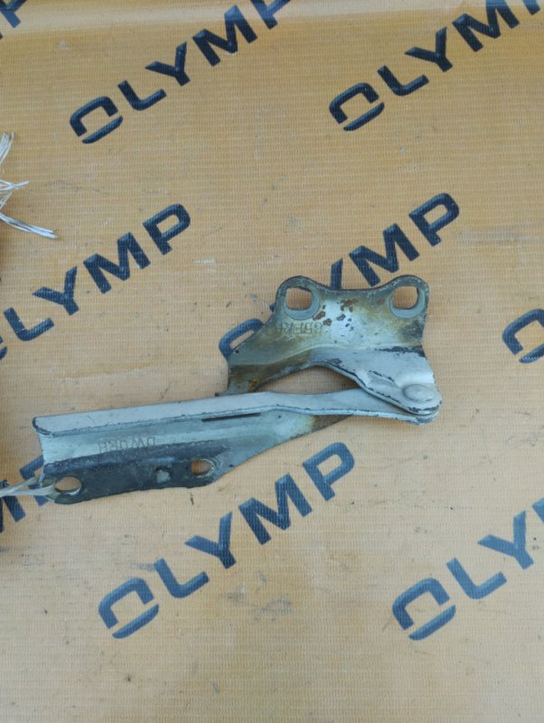 Петля капота правая TERRANO REGULUS 1997 JRR50 QD32 Петля капота правая TERRANO REGULUS 1997 JRR50 QD32