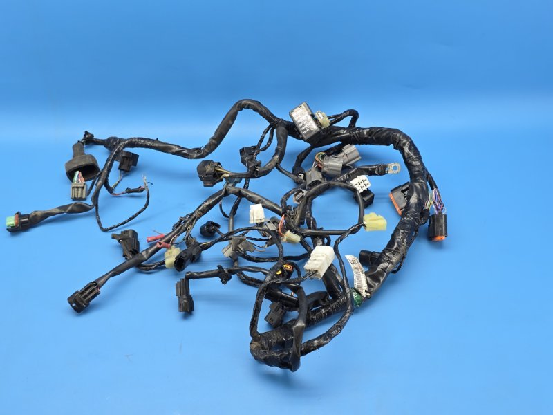 Жгут проводки основной Kawasaki Er-6 2012 (б/у)