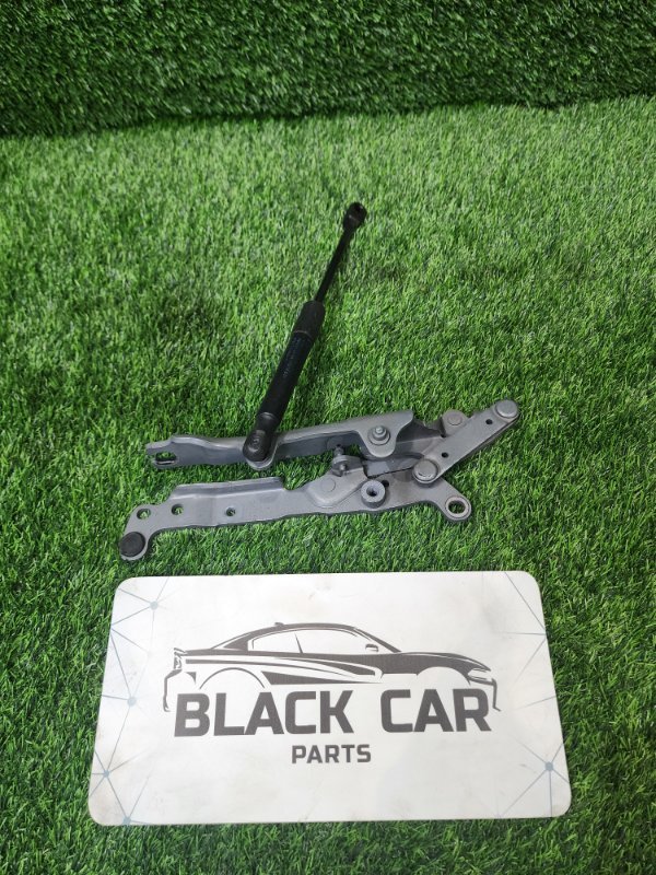 Петля капота правая BMW 5-series 2012 F10 N55B30 41007270884 контрактная