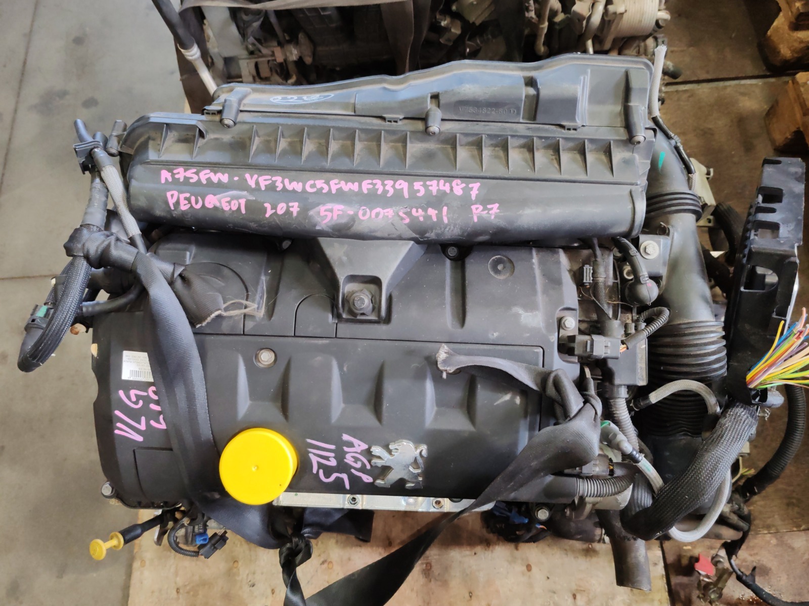 Двигатель 207 WC EP6