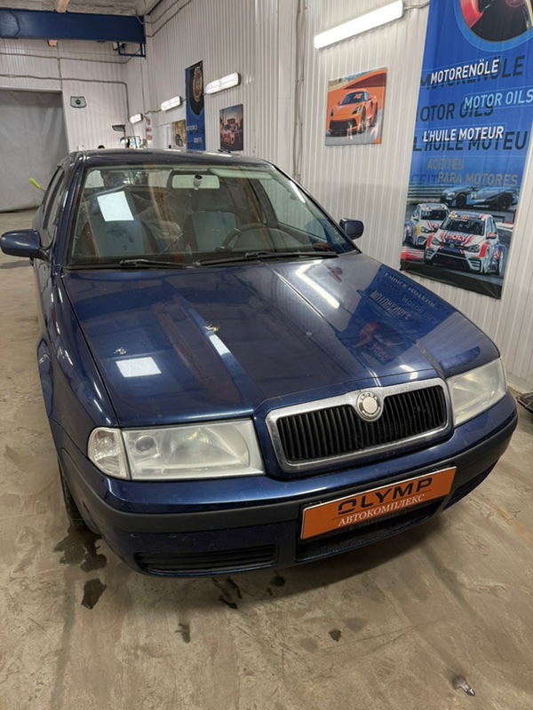 Стекло заднее заднее Octavia 1996-2010 1U2 BCA