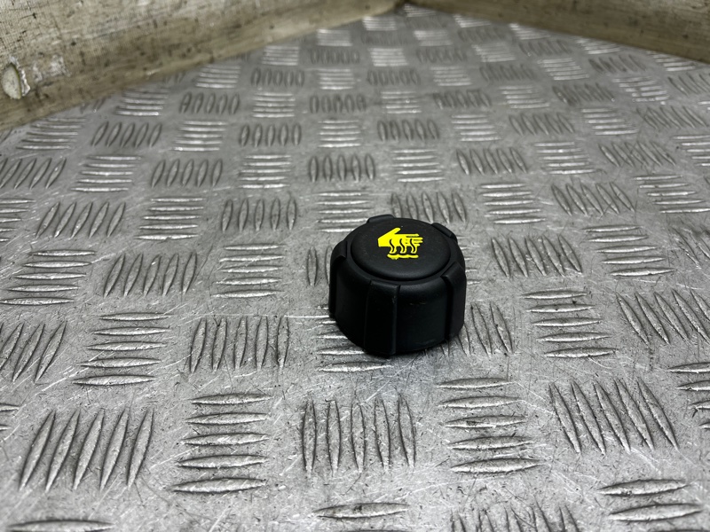 Крышка расширительного бачка Qashqai 2012 J10 MR20DE Крышка расширительного бачка Qashqai 2012 J10 MR20DE