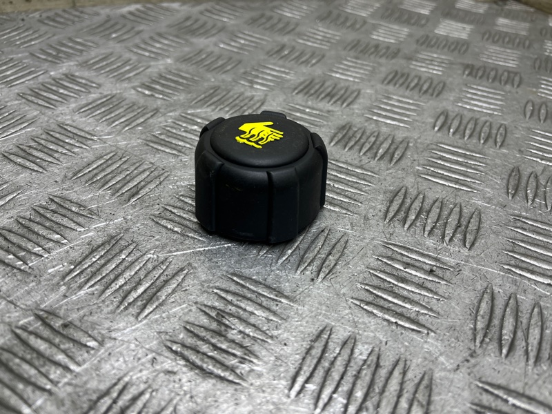 Крышка расширительного бачка Qashqai 2012 J10 MR20DE Крышка расширительного бачка Qashqai 2012 J10 MR20DE