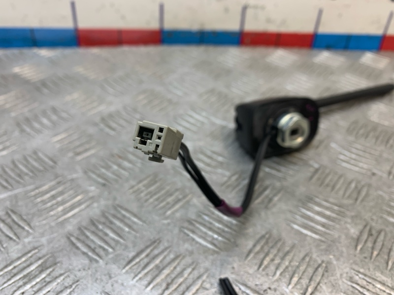 Антенна X-TRAIL 2010 T31 M9R