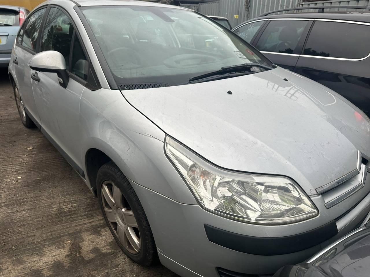 Ноускат Citroen C4