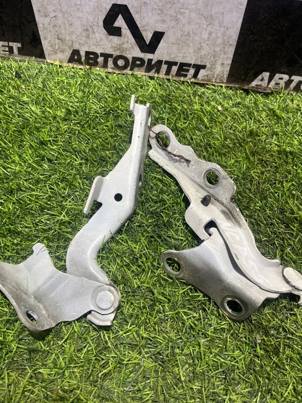 Петля капота TOYOTA SUCCEED NCP55 (б/у)