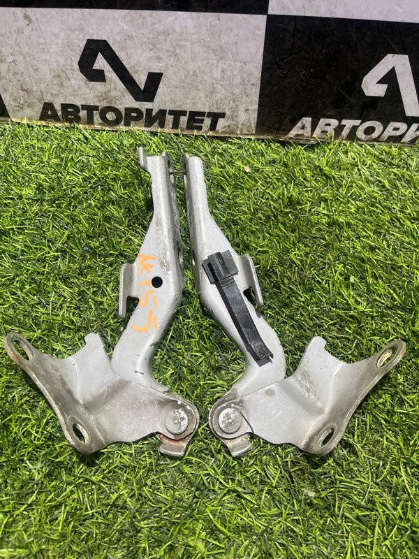 Петля капота TOYOTA SUCCEED NCP55 (б/у)