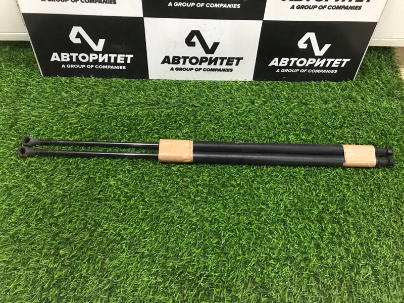 Амортизатор 5-й двери TOYOTA RACTIS SCP100 2005 (б/у)