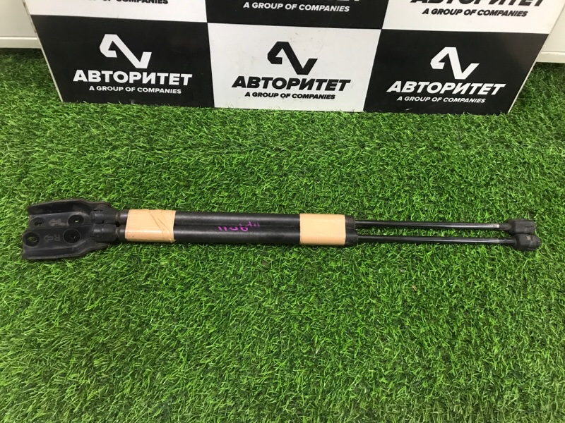Амортизатор 5-й двери NISSAN AD VFY11 2002 (б/у)