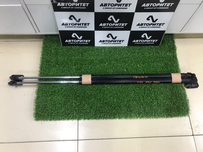 Амортизатор 5-й двери NISSAN CARAVAN CQGE25 2010 (б/у)