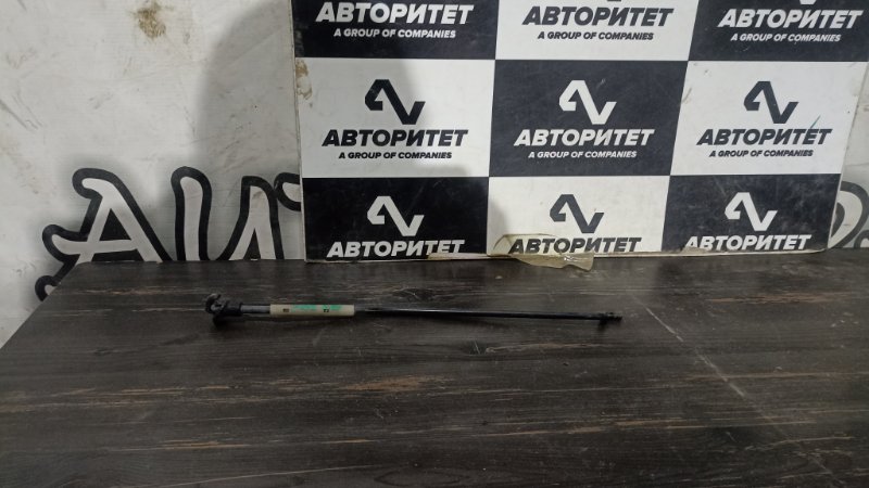 Упор капота TOYOTA WISH ZNE10 1ZZFE 2007 (б/у)