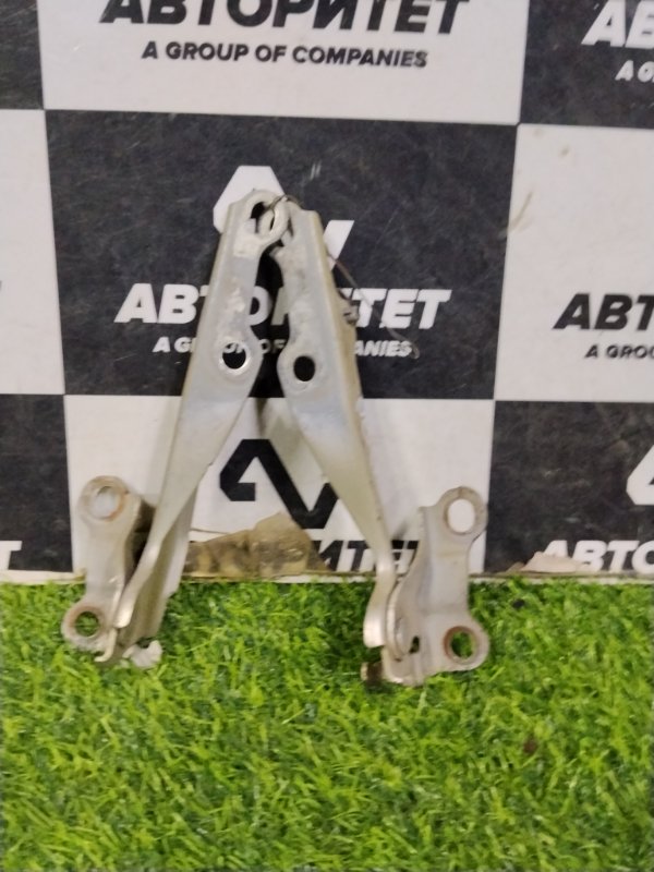 Петля капота TOYOTA PLATZ NCP12 1NZFE 2000 (б/у)