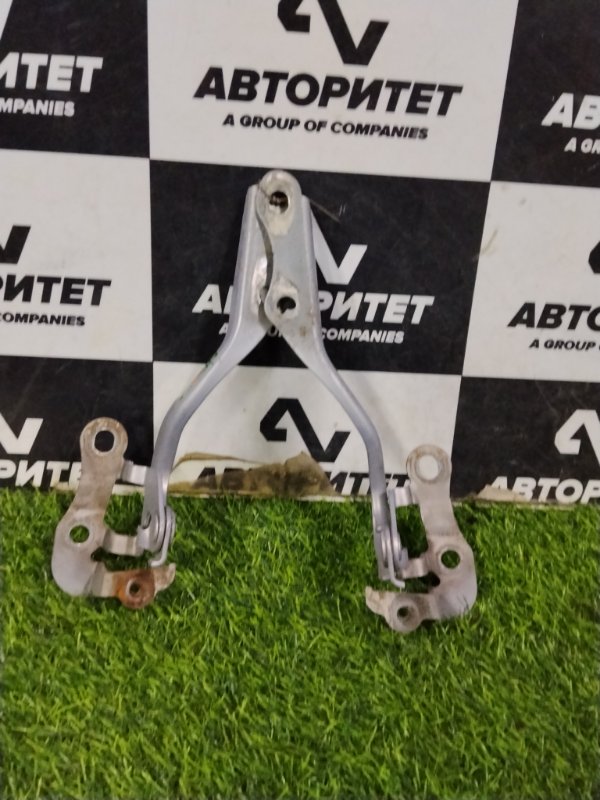 Петля капота TOYOTA VITZ NCP91 1NZFE 2009 (б/у)