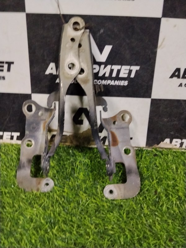 Петля капота TOYOTA IPSUM ACM21W 2AZFE 2002 (б/у)