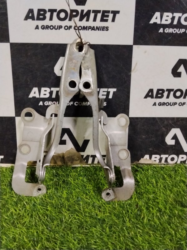 Петля капота TOYOTA IPSUM ACM21W 2AZFE 2008 (б/у)