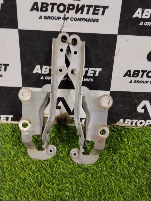 Петля капота TOYOTA WISH ZNE10 1ZZFE 2004 (б/у)