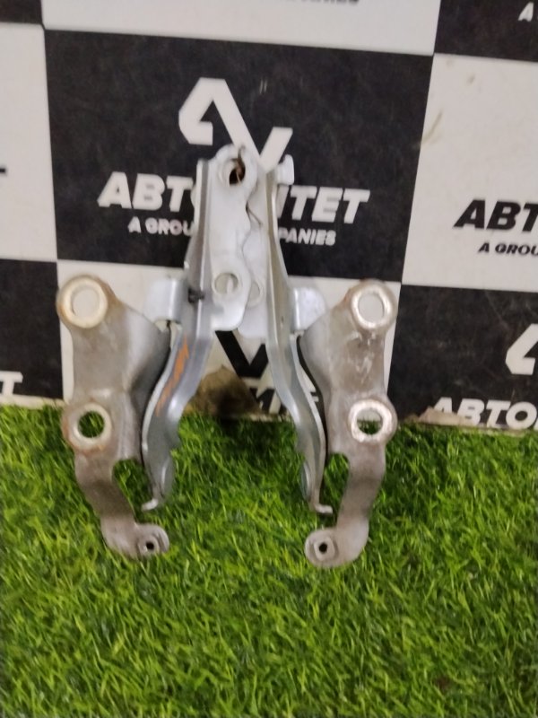 Петля капота TOYOTA ALLEX NZE121 1NZFE 2006 (б/у)