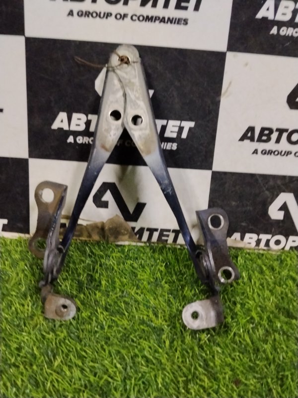 Петля капота TOYOTA COROLLA AXIO NZE141 1NZFE 2007 (б/у)