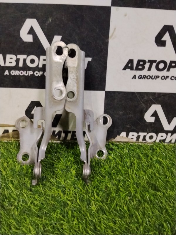 Петля капота TOYOTA BB NCP35 1NZFE 2004 (б/у)