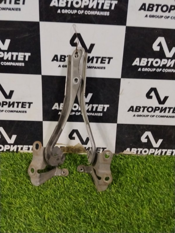 Петля капота TOYOTA RACTIS SCP100 2SZFE 2006 (б/у)