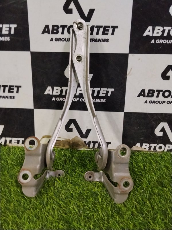 Петля капота TOYOTA RACTIS SCP100 2SZFE 2008 (б/у)