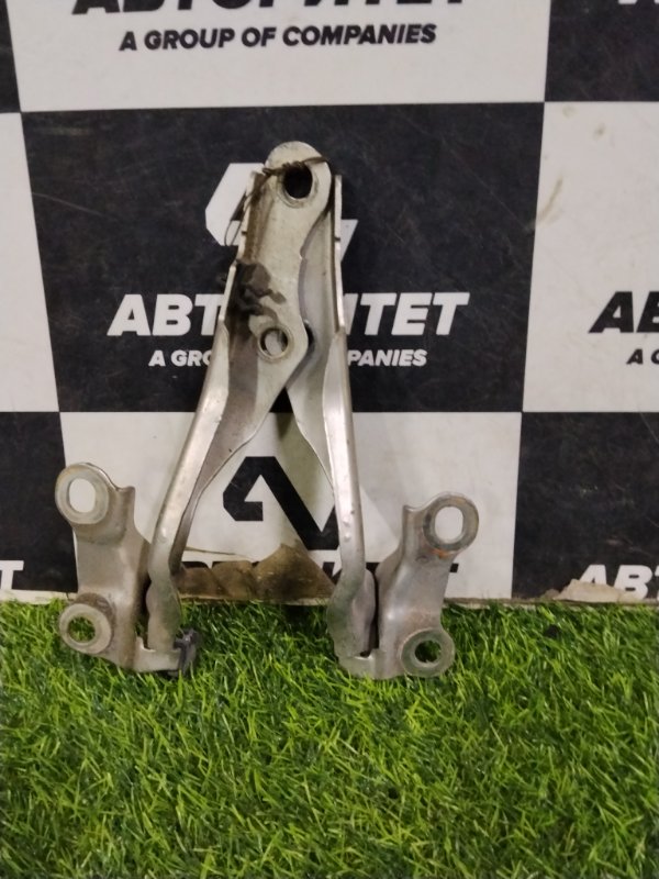 Петля капота TOYOTA RAUM NCZ20 1NZFE 2005 (б/у)