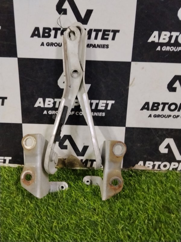 Петля капота TOYOTA AURIS NZE154 1NZFE 2007 (б/у)